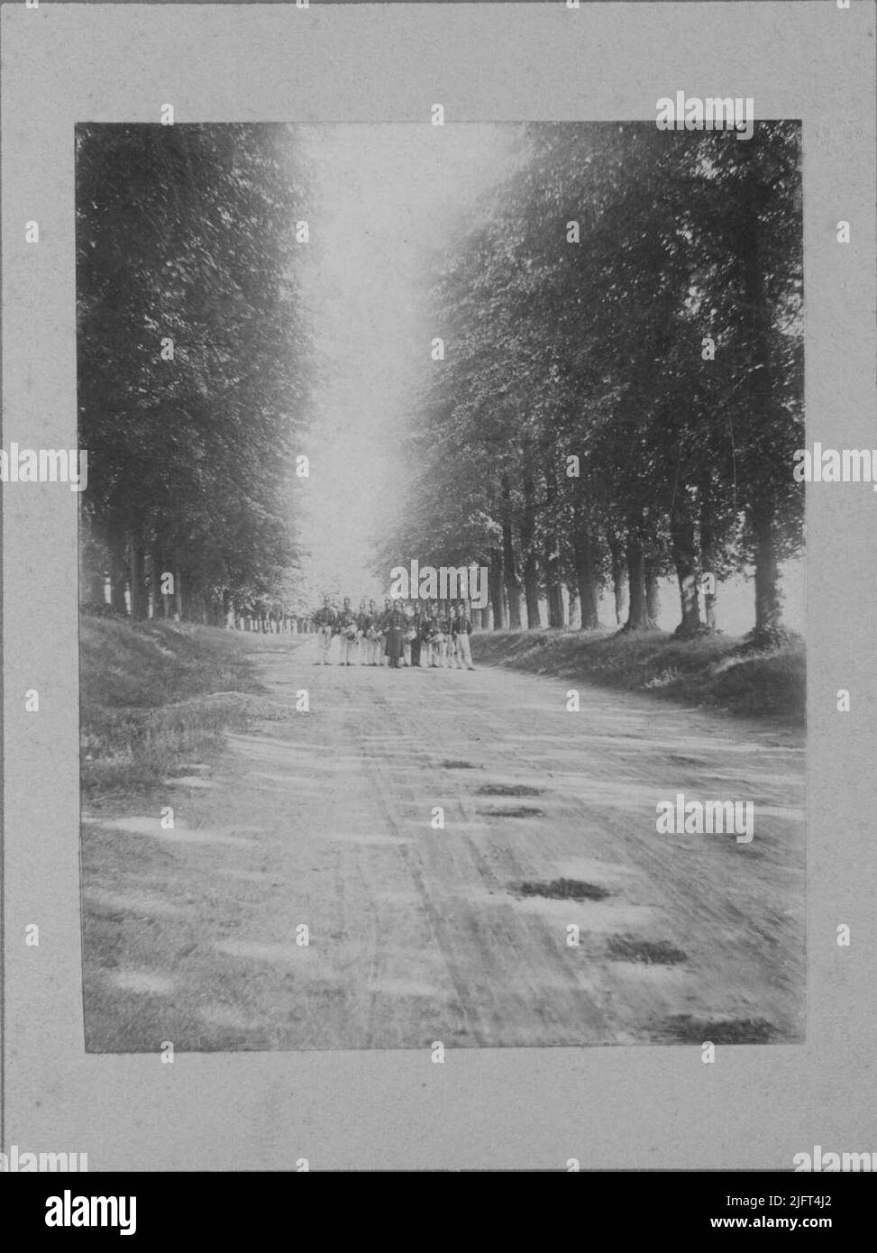 A sandy path with a row of trees; In the background a military music corps Stock Photo