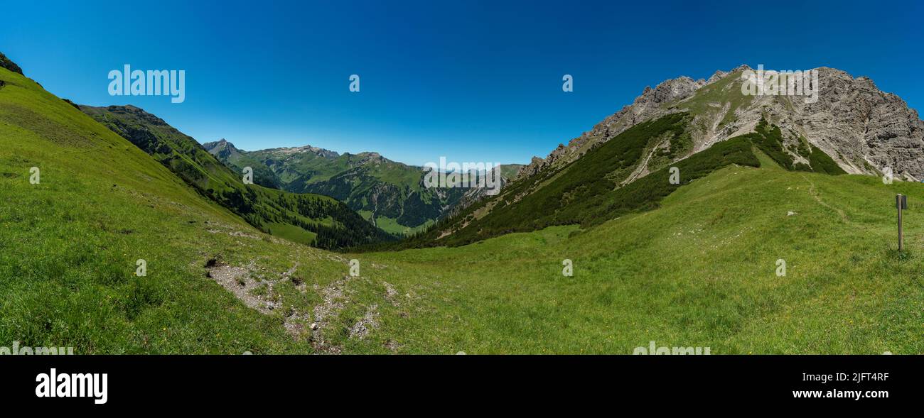Panorama vom Nenzinger Himmel und den Bergen von Lichtenstein. alpine Wiesen mit verschiedensten farbigen Blumen und dunkle Wälder an den Berghängen. Stock Photo