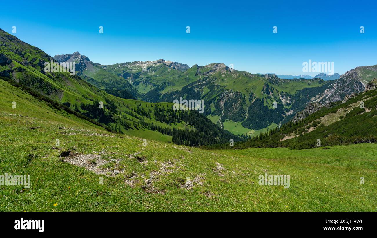 Panorama vom Nenzinger Himmel und den Bergen von Lichtenstein. alpine Wiesen mit verschiedensten farbigen Blumen und dunkle Wälder an den Berghängen. Stock Photo