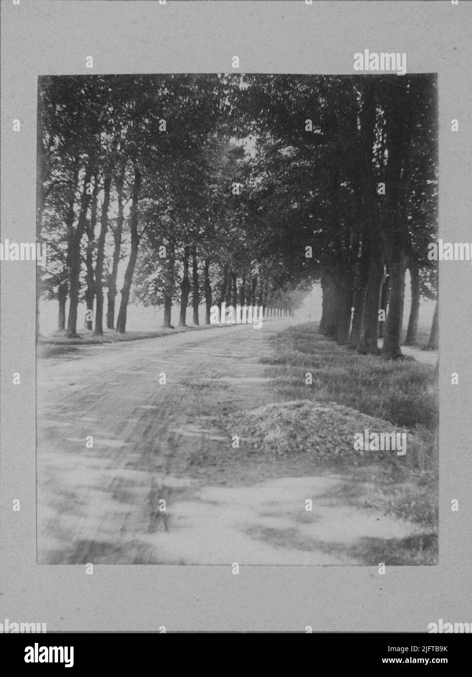 Walkway path photo Black and White Stock Photos & Images - Alamy