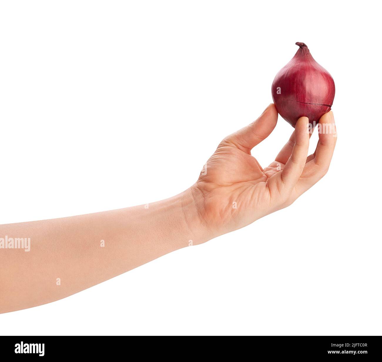 red onion in hand path isolated on white Stock Photo