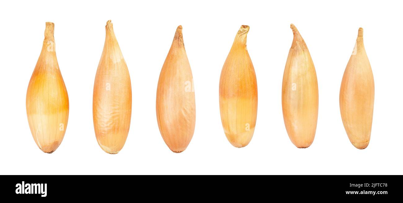 shallots onion path isolated on white Stock Photo