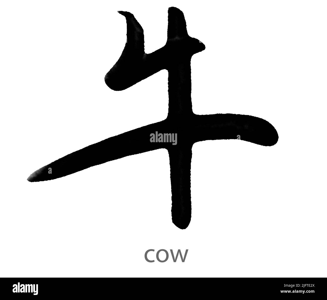 Hand drawn calligraphy of cow word on white background, 3d rendering ...