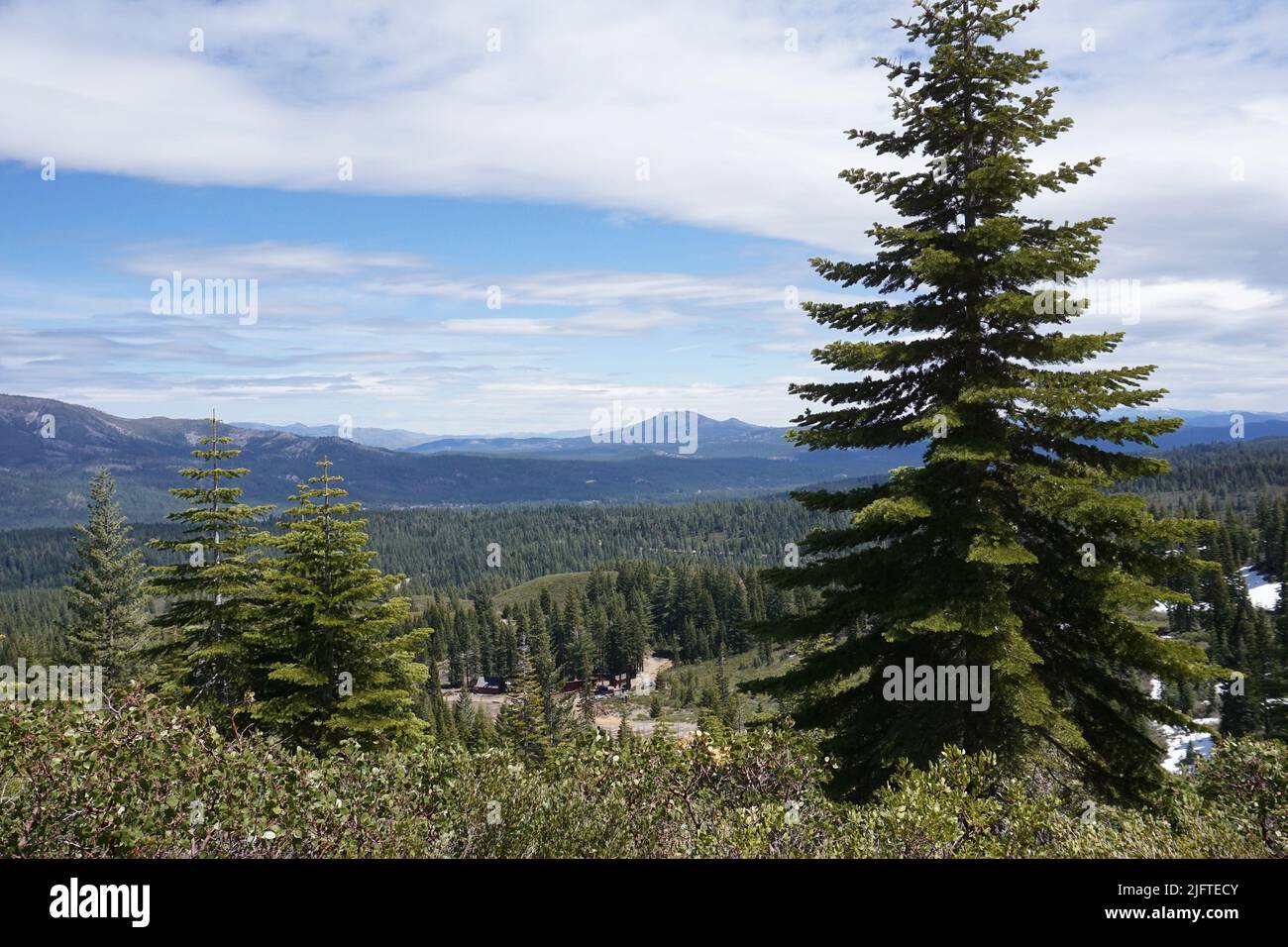 View of the Sierra Nevada mountains near Graeagle, California. Stock Photo