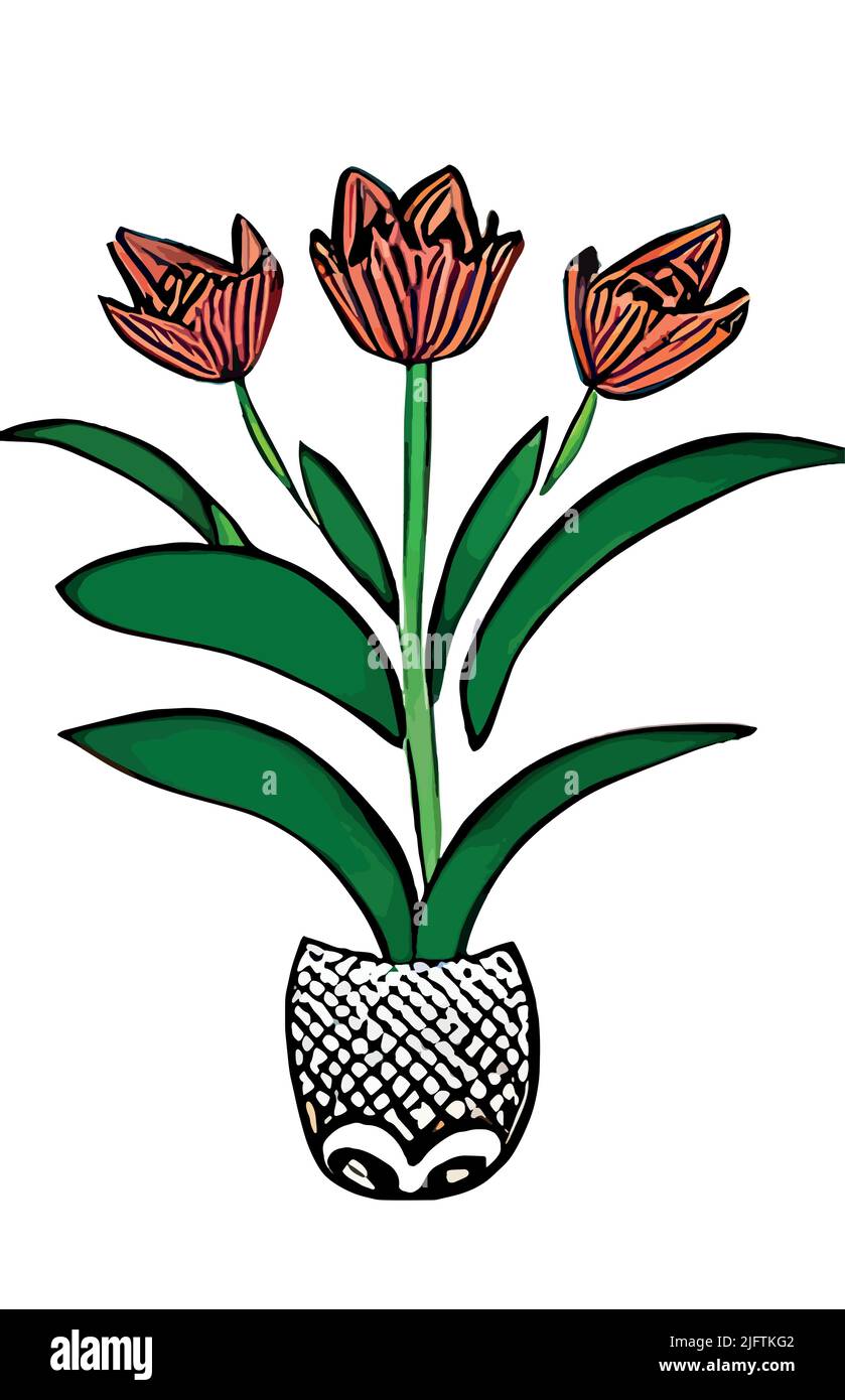 The striped tulips isolated on white vertical background. Floral ...