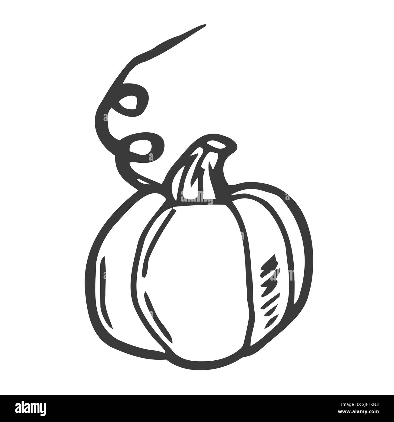Vector hand drawn pumpkin outline doodle icon. Food sketch illustration for print, web, mobile and infographics Stock Vector