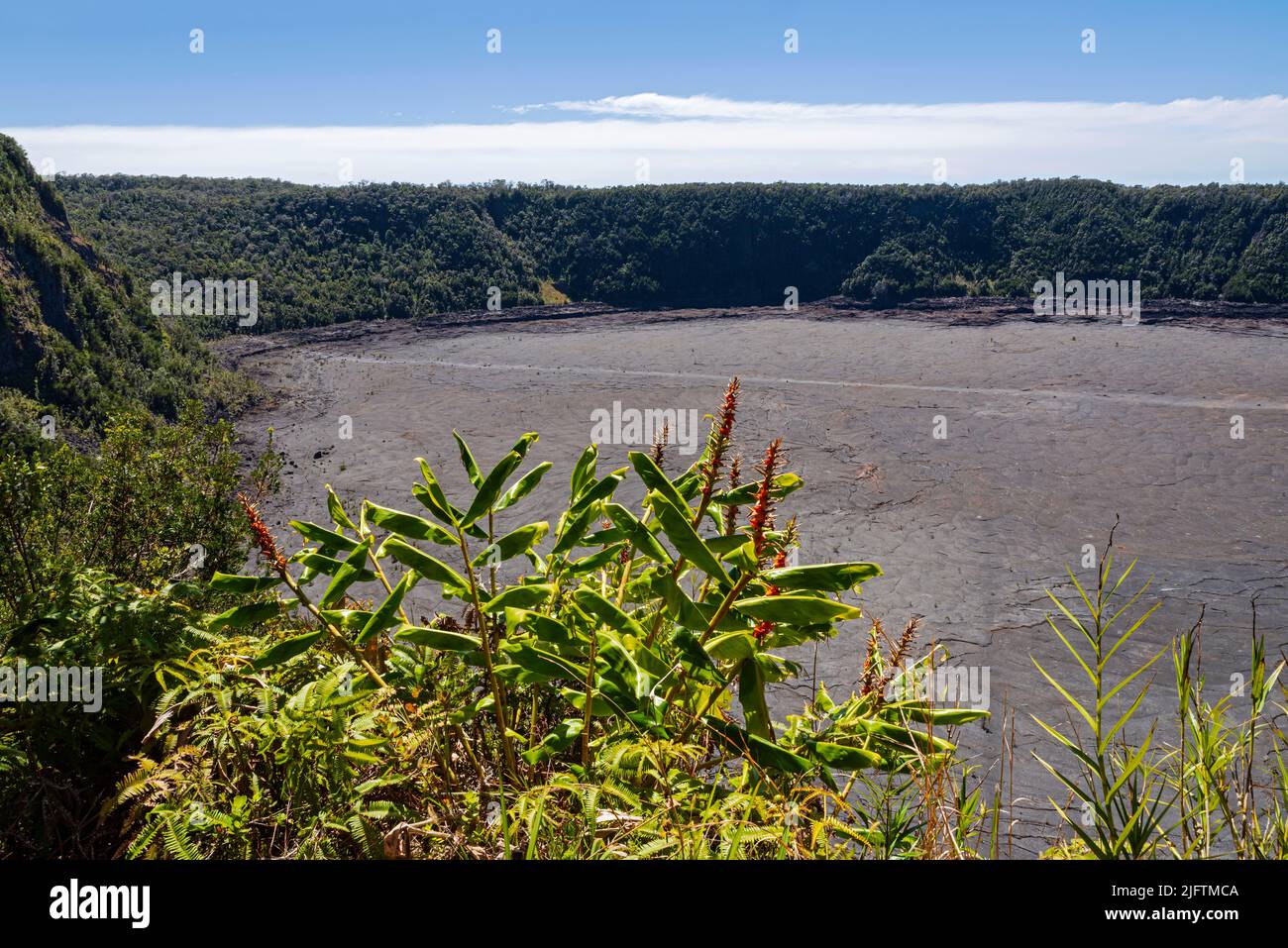 overlooking kilauea iki crater from rim in hawaii volcanoes national park Stock Photo