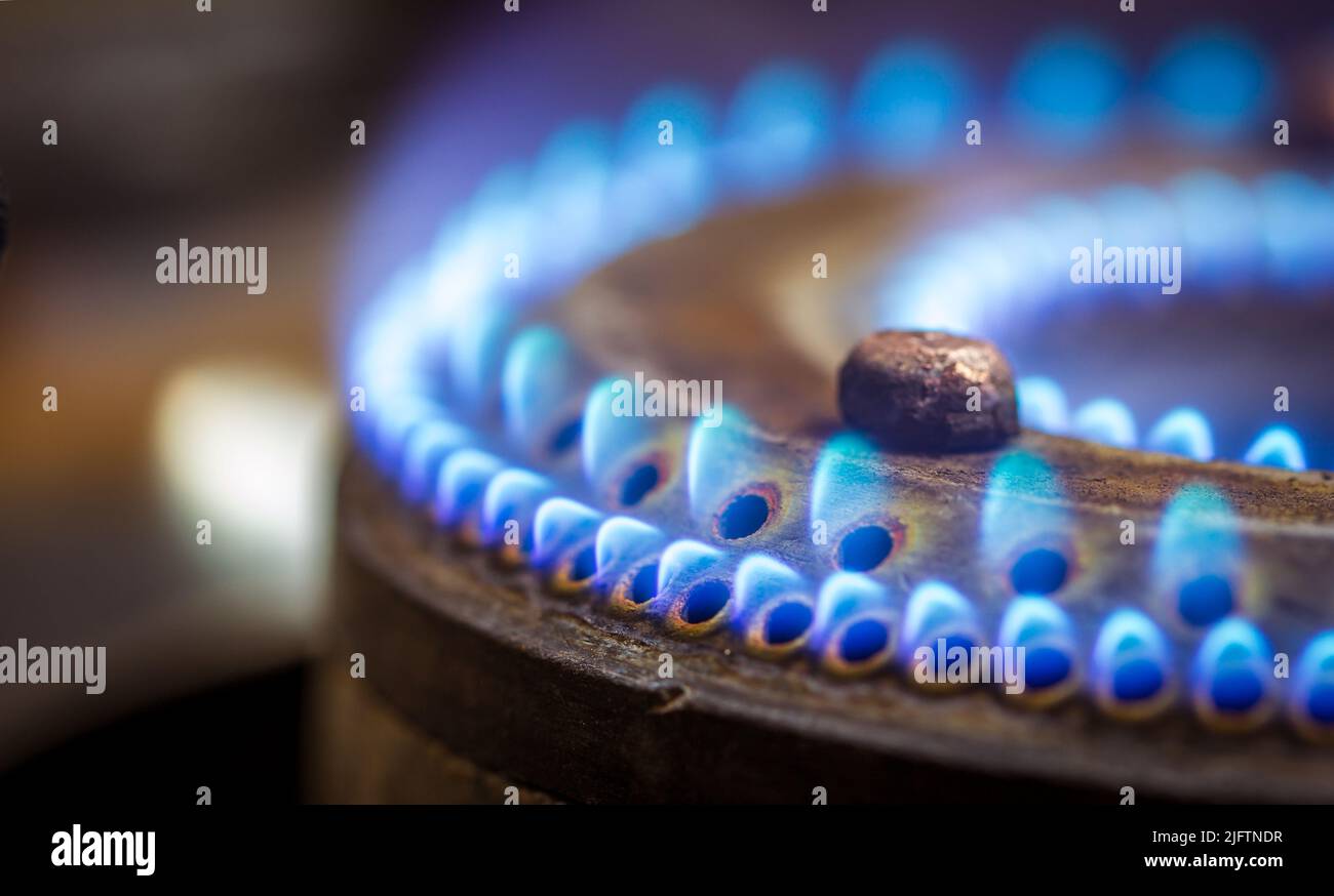 Blue flames on a domestic gas stove burner Stock Photo Alamy