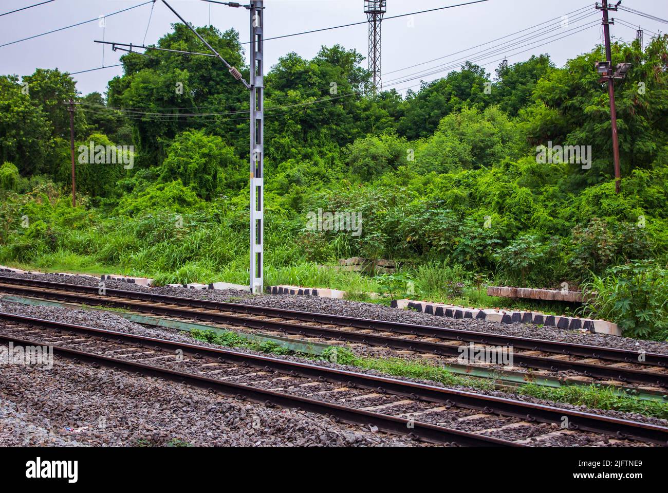View of the Indian railway lines along thick green forest area. Railway tracks passing through