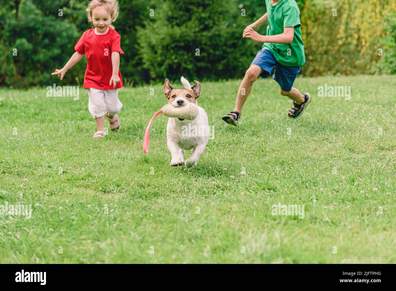 Happy smiling kids playing tag with domestic small dog outdoors Stock