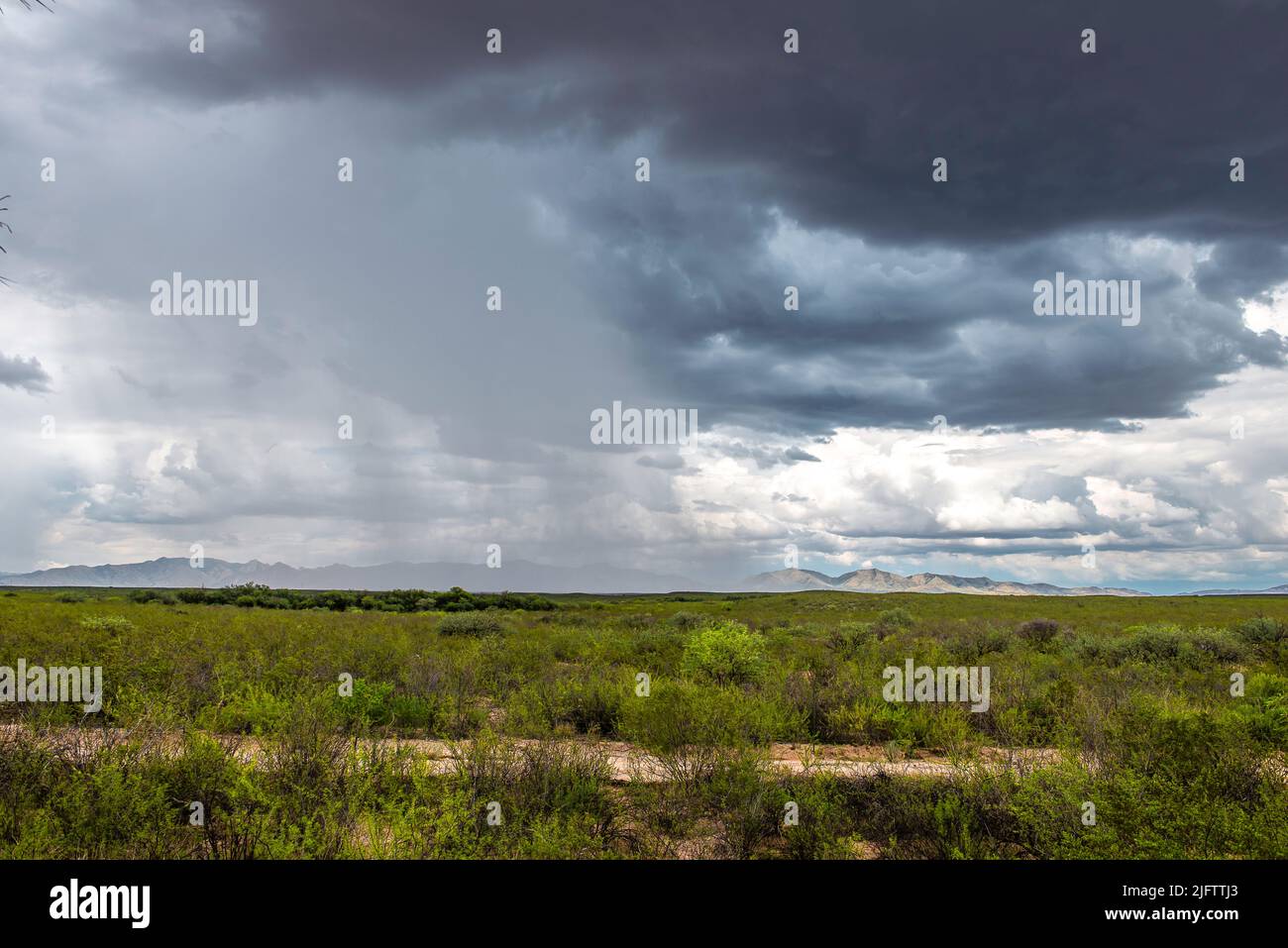 Monsoon Season in Southern Arizona Stock Photo