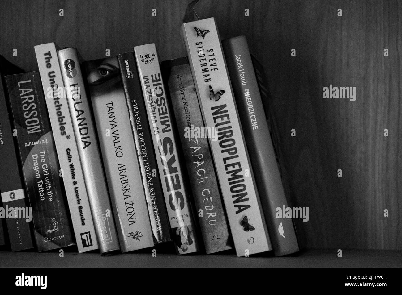 A grayscale closeup of the row of Polish books on a wooden shelf. Stock Photo