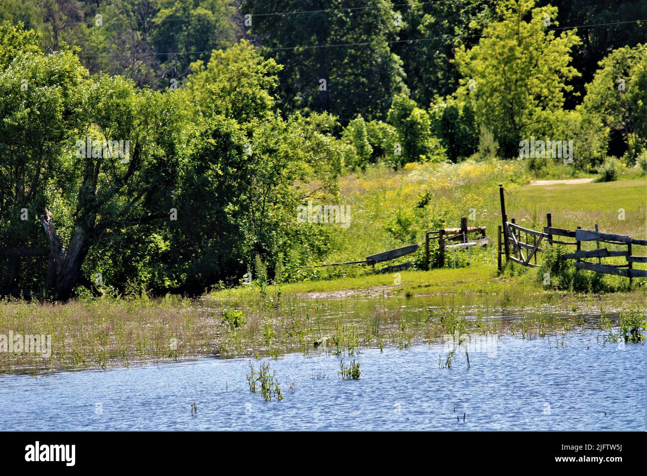 The beautiful nature of Latvia. Stock Photo