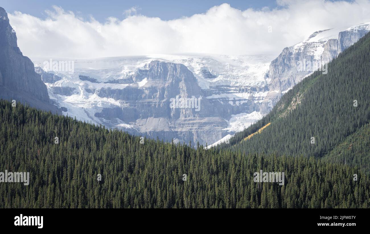 Detail on massive glacier hanging from the mountain with forest below it , Jasper, Canada Stock Photo