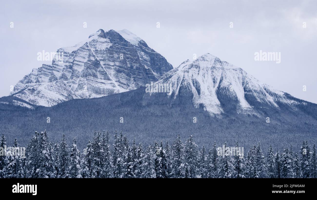 Two prominent peaks covered by snow with forest in foreground, Banff N. Park, Canada Stock Photo