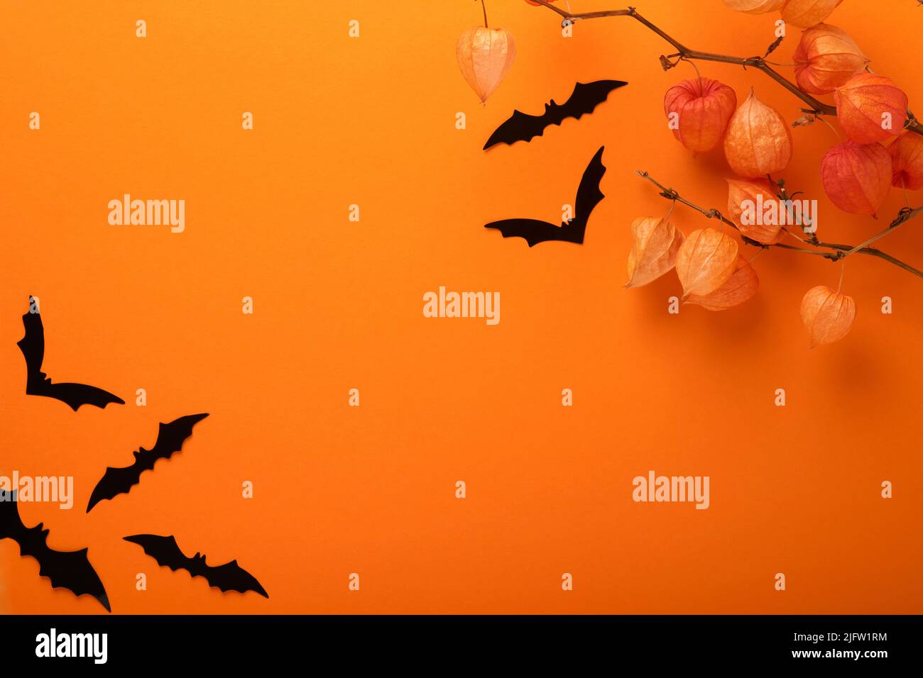 Orange Halloween background. Flock of black bats and branch of dry orange flowersfor Halloween. Black paper bat silhouettes on orange background. Autu Stock Photo
