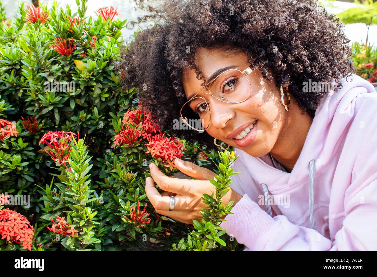 Woman smelling rose garden hi-res stock photography and images - Alamy