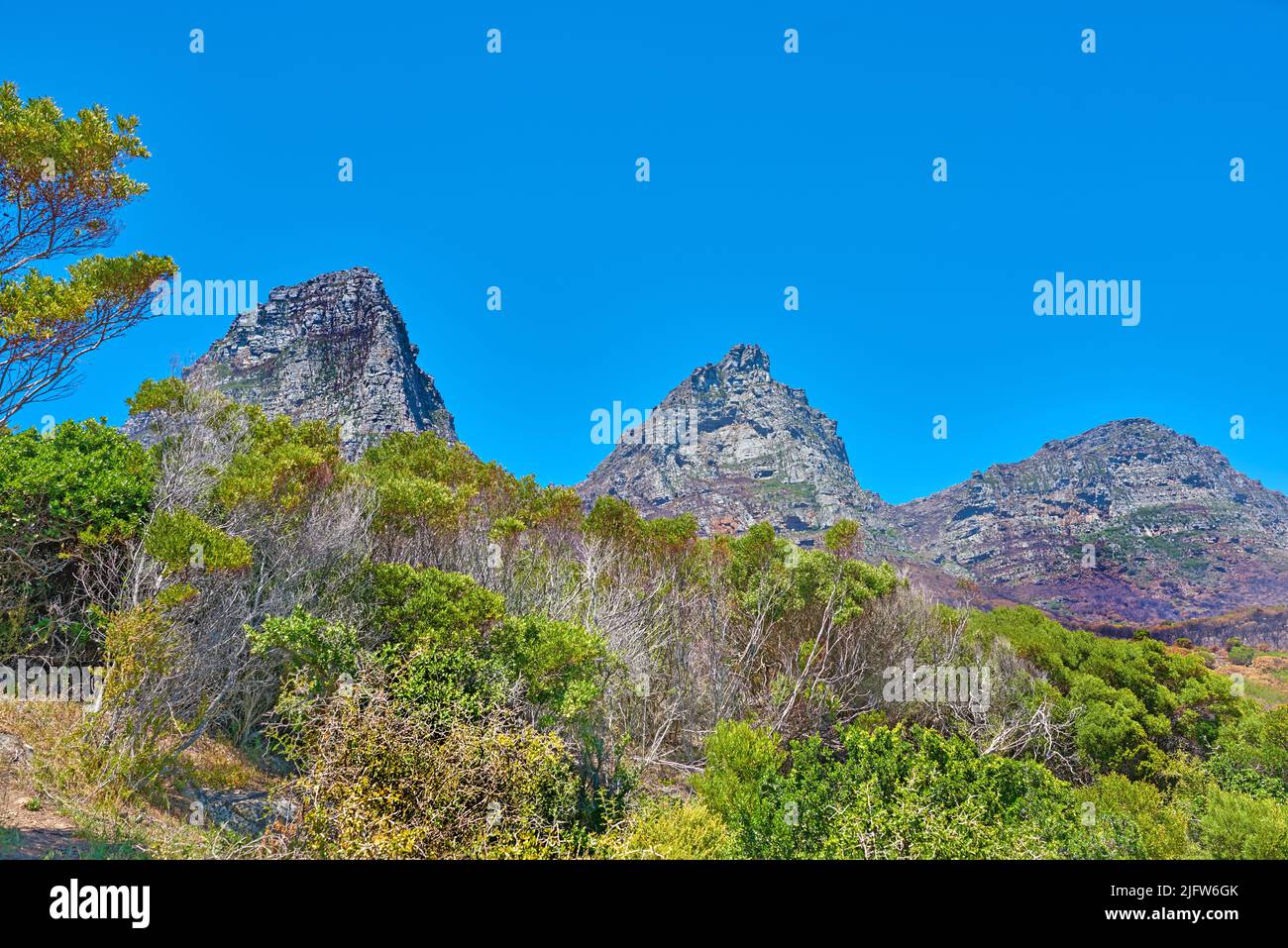 Landscape view of the Twelve Apostles Mountains in Cape Town, South Africa with a blue sky and copy space. Steep scenic famous hiking terrain with Stock Photo