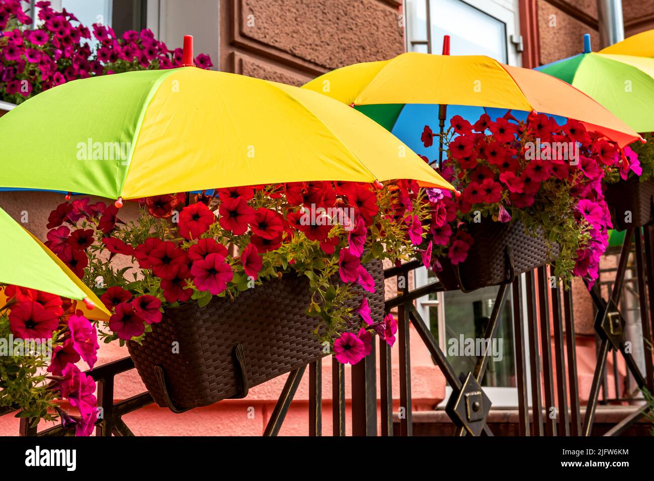 The flowers in the flower bed are covered from the scorching sun with