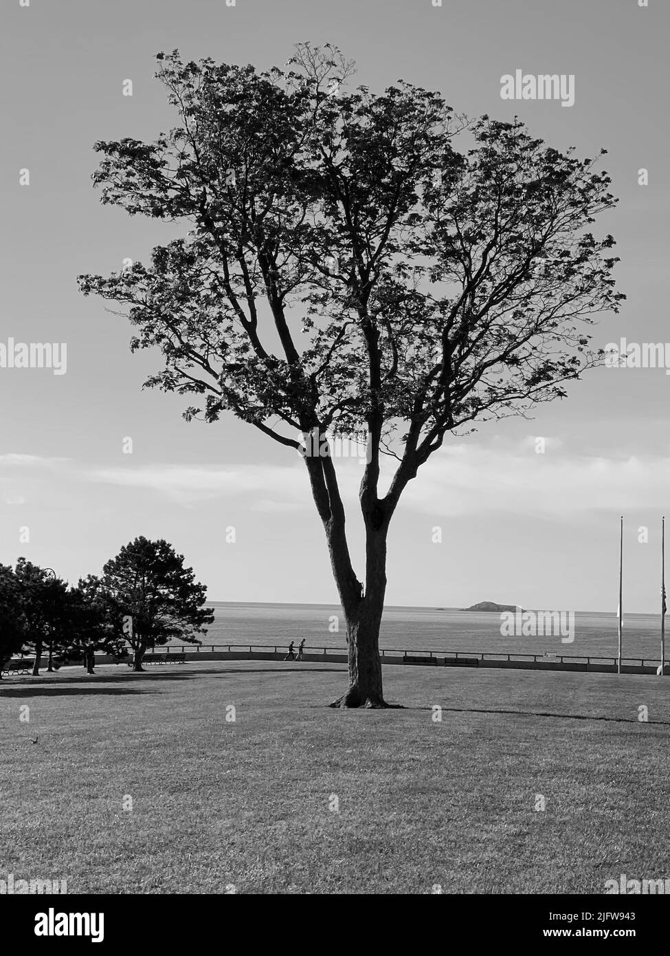 Coastal scenic scenic sky Black and White Stock Photos & Images - Alamy