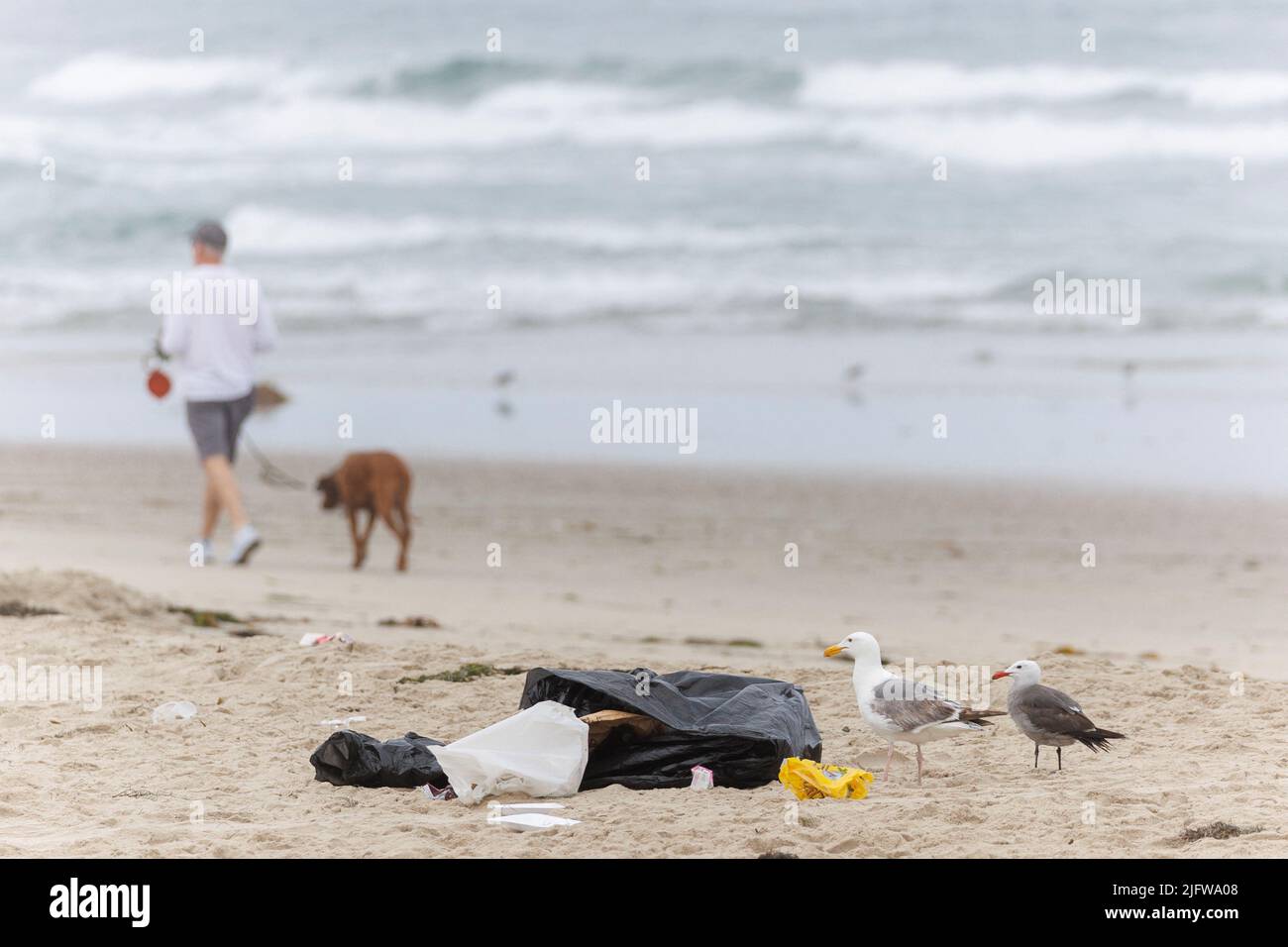 A man walks his dog past trash left on the sand following the Fourth of July holiday at Pacific Beach in San Diego, California, U.S. July 5, 2022. REUTERS/Mike Blake Stock Photo