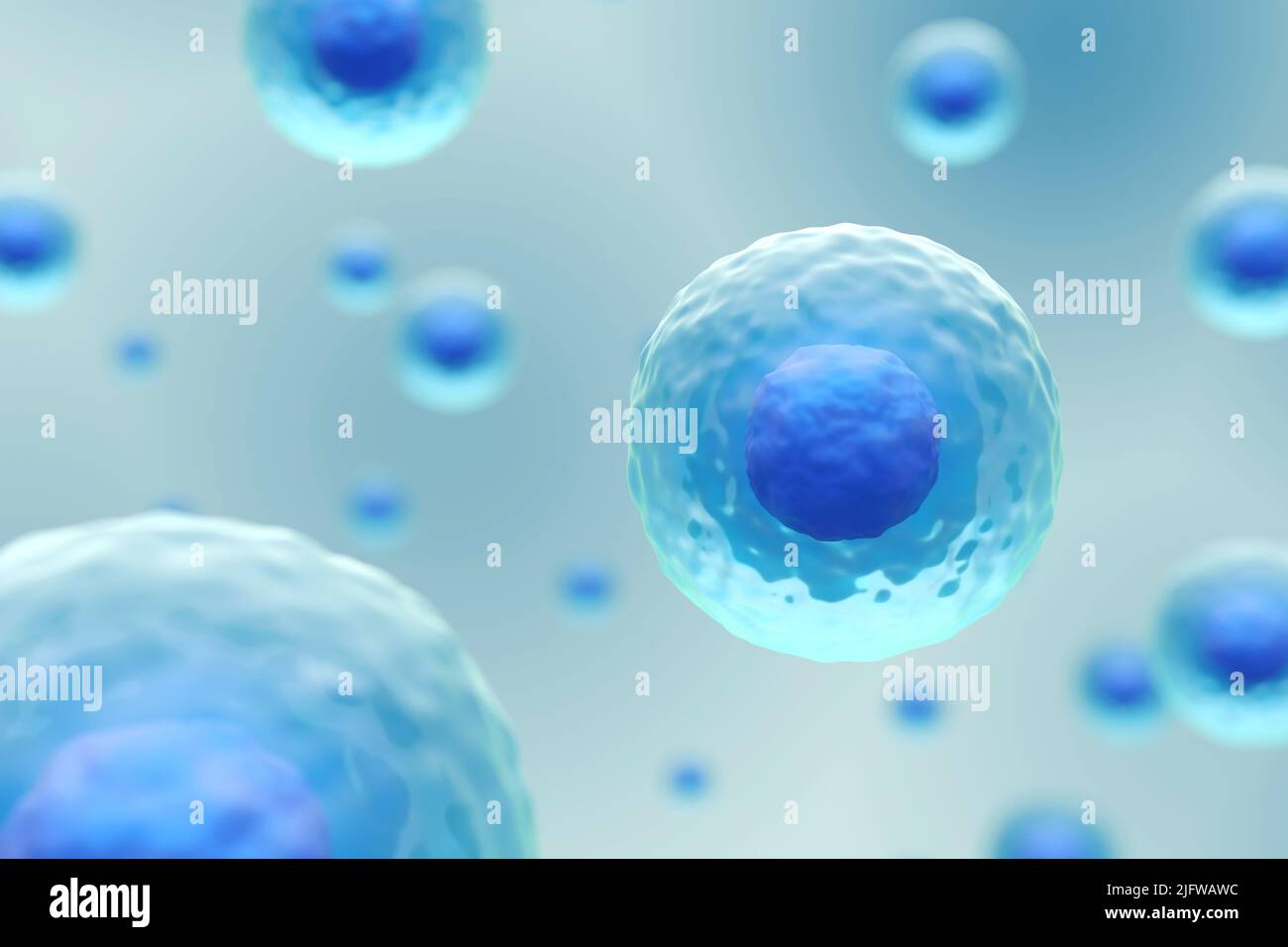 Cells membrane with nucleus are floating . Medical and science concept background . 3D render . Stock Photo