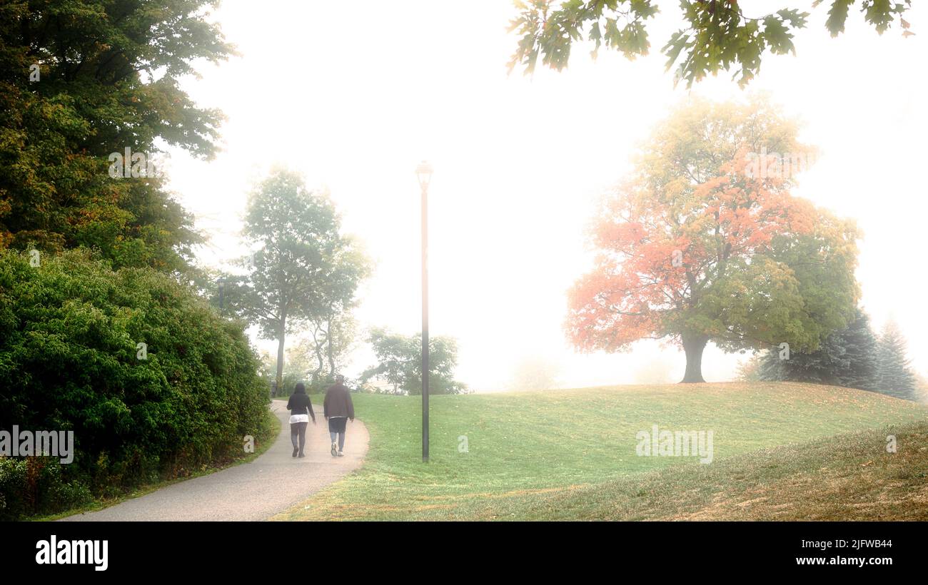 Senior adults walking in the park in the foggy morning Stock Photo