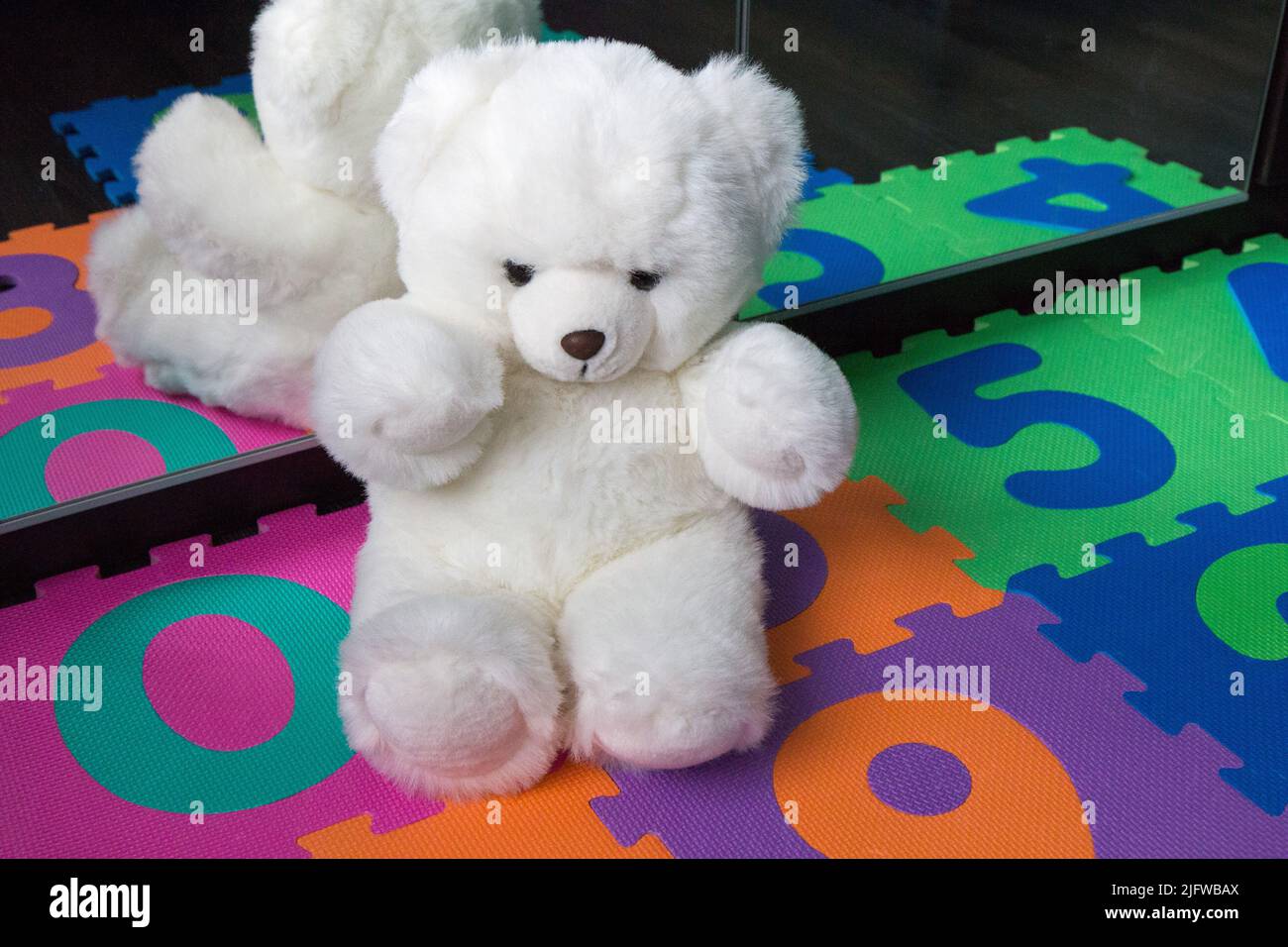 A fluffy white teddy bear Stock Photo