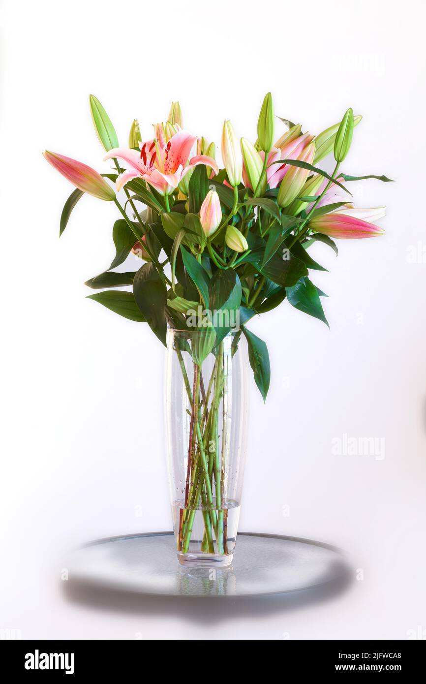 Bouquet of pink flowers in a vase isolated on white studio background ...
