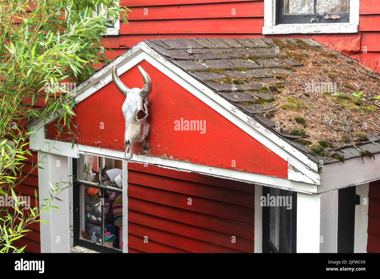 Red wooden house with bull skull in front. Frenchtown one of America's most attractive small towns, Frenchtown, New Jersey, USA Stock Photo