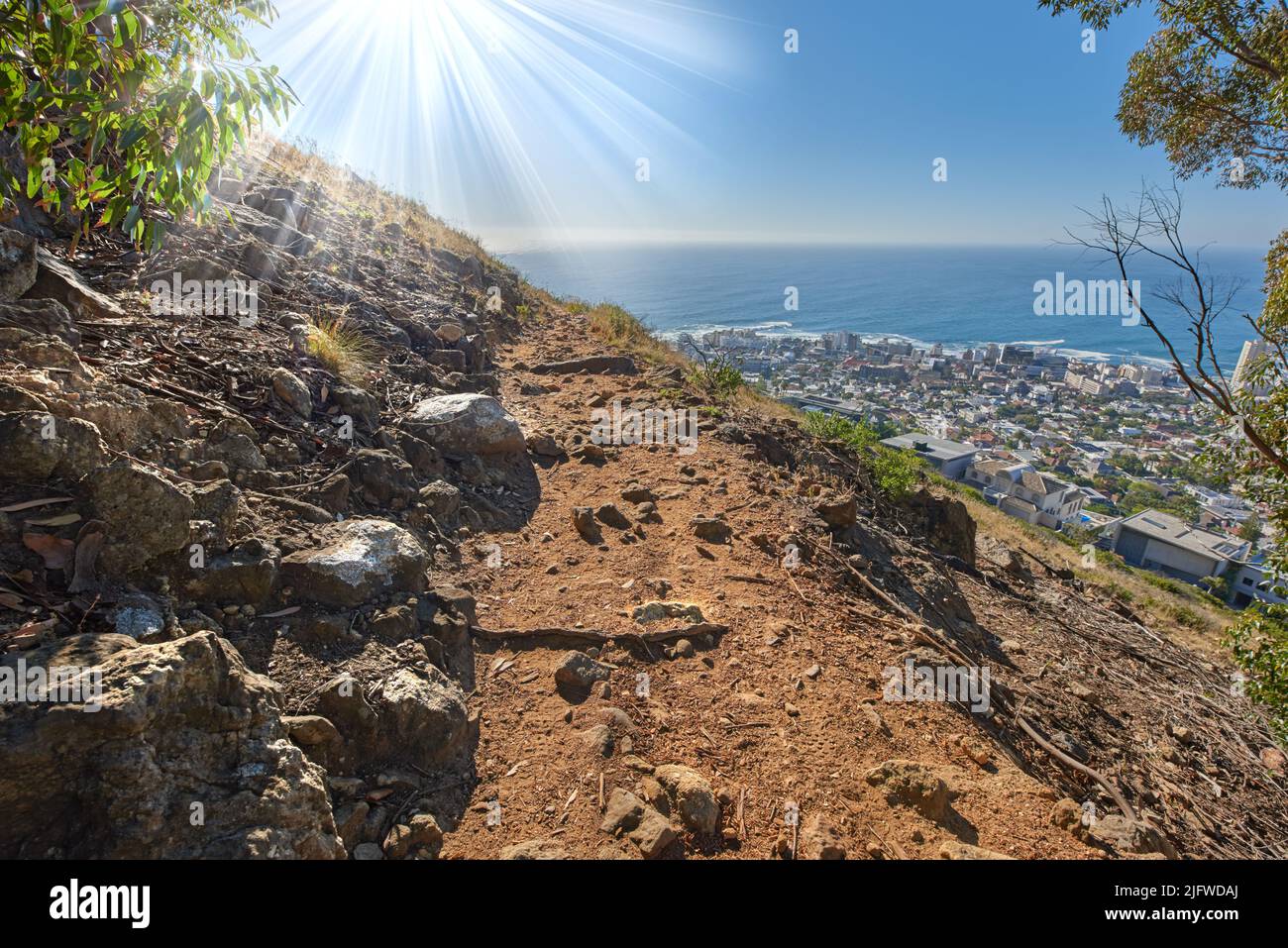 Remote mountain hiking trail on Table Mountain. Mountainous walking path surrounded by bushes and trees. Pathway on a mountaintop. Popular tourist Stock Photo