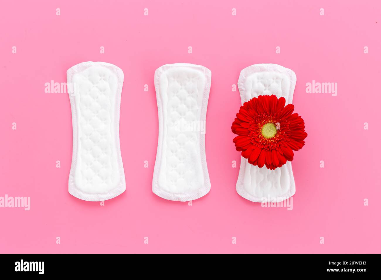 White panty liners with red flower. Menstruation period and daily