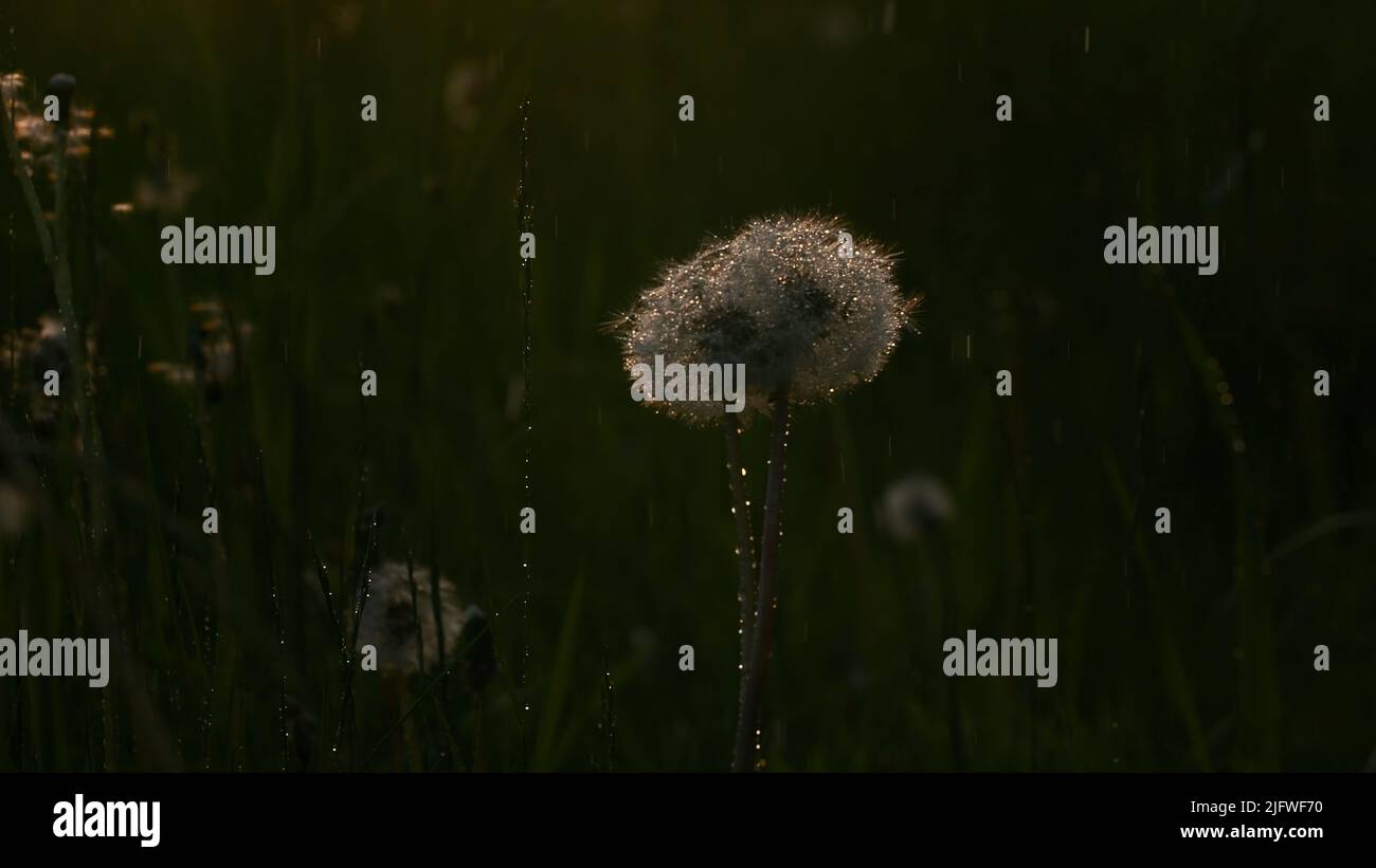 1920x1080 hi def hi-res stock photography and images - Alamy