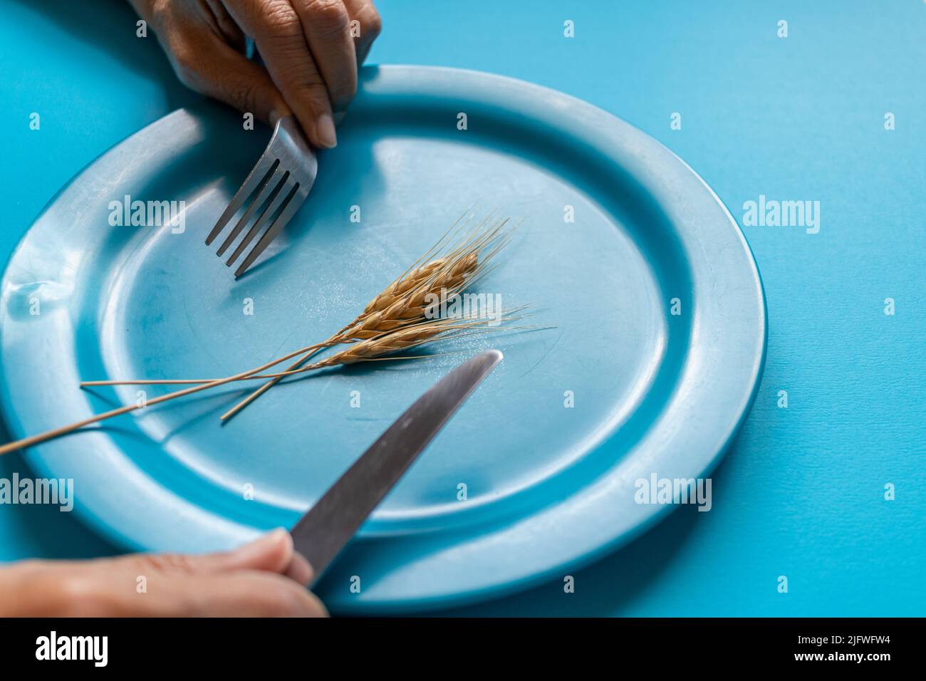 Wheat grains on a plate , global food crisis concept Stock Photo