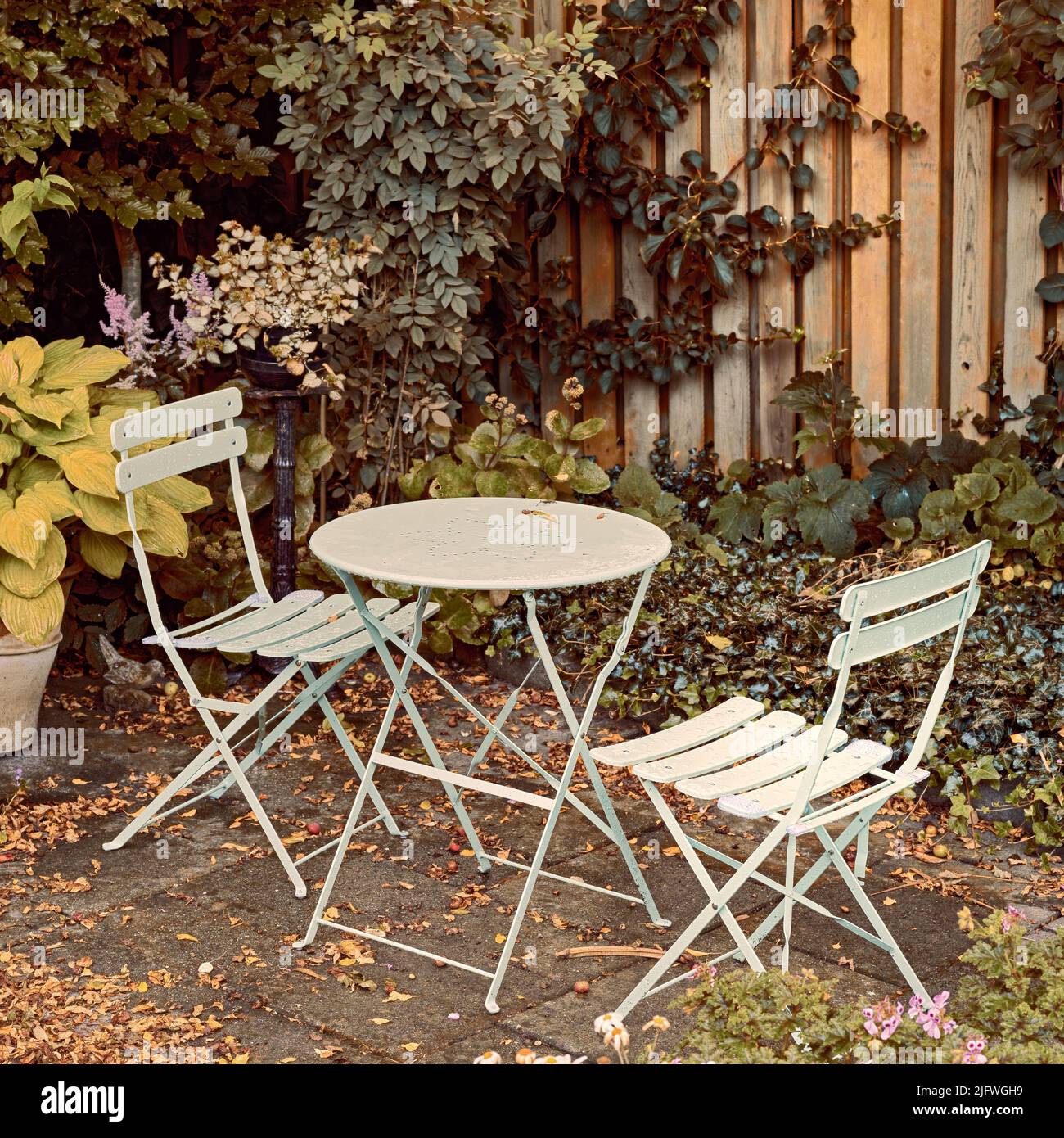 Courtyard metal chairs and table in a serene, peaceful, lush, private backyard at home in autumn. Patio furniture set in outdoor space, seating in an Stock Photo
