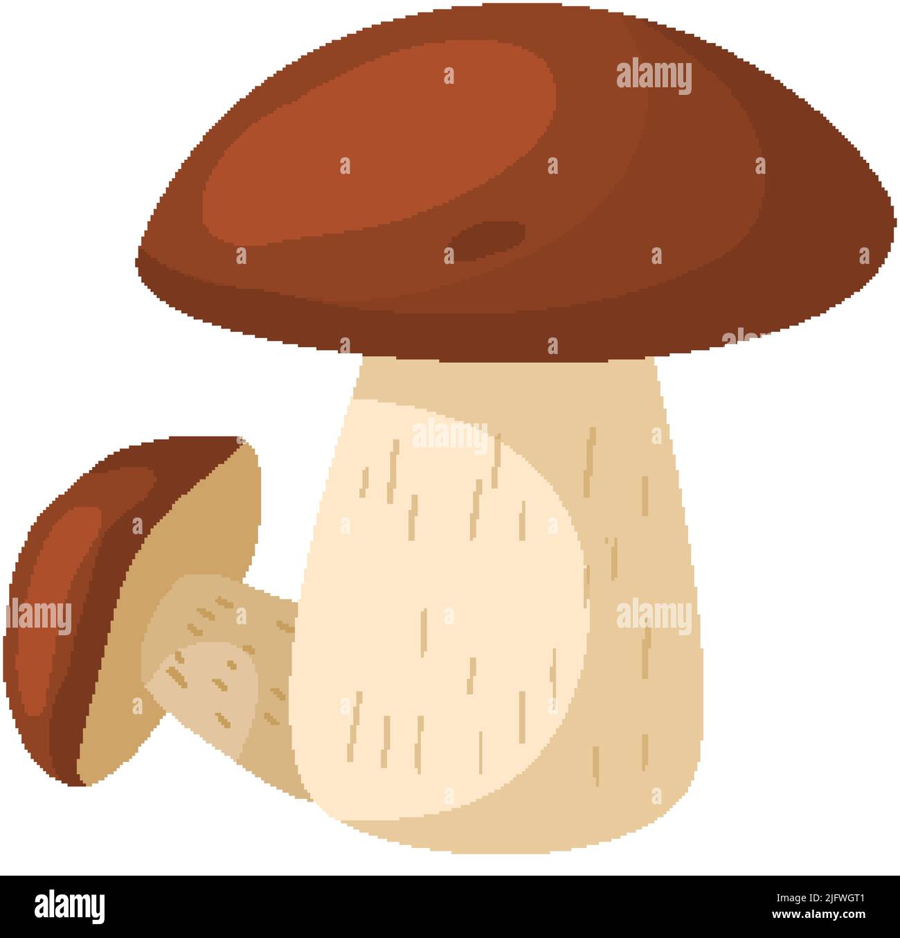 porcini mushroom cartoon vector Stock Vector Image & Art Alamy