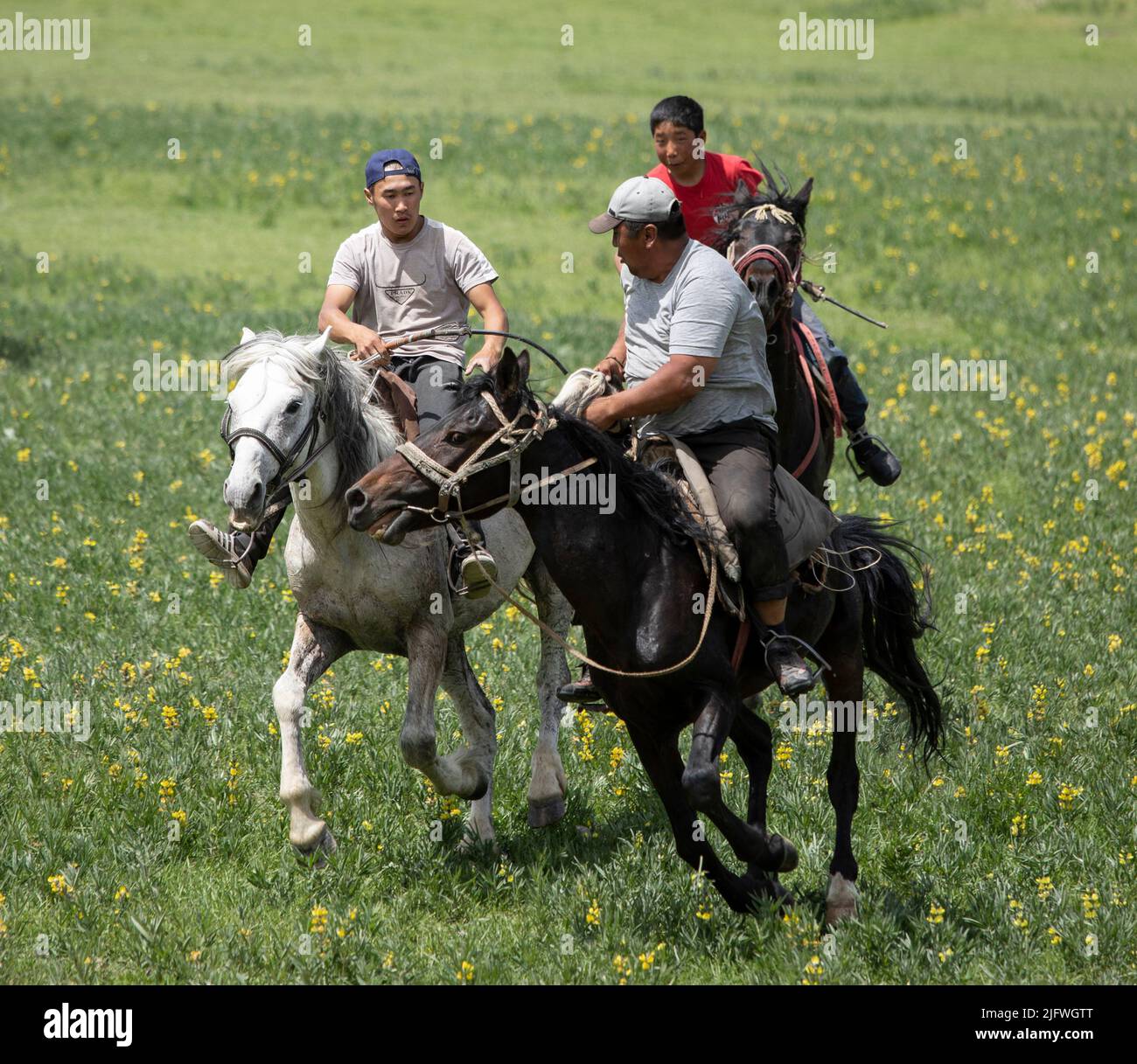 goat riding