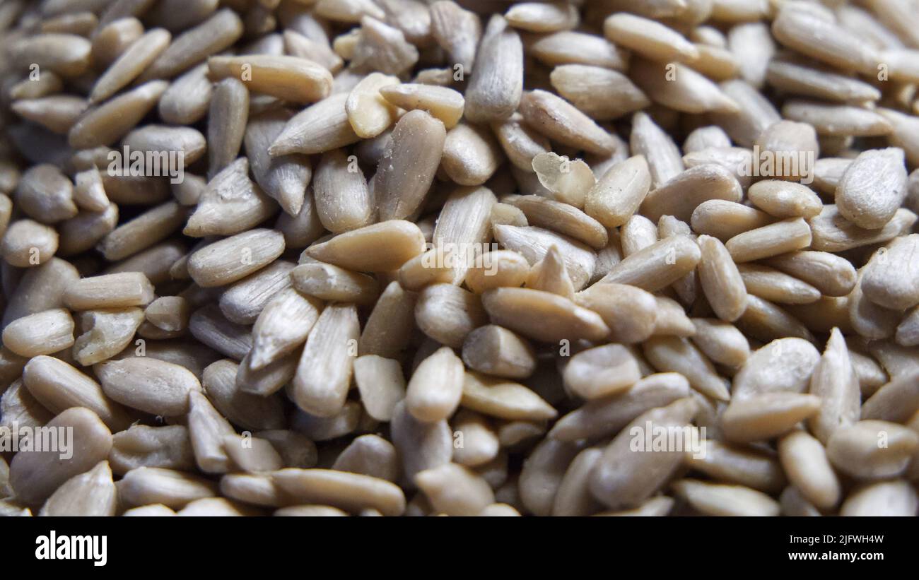 Lots of peeled sunflower seeds close-up, full frame. Stock Photo