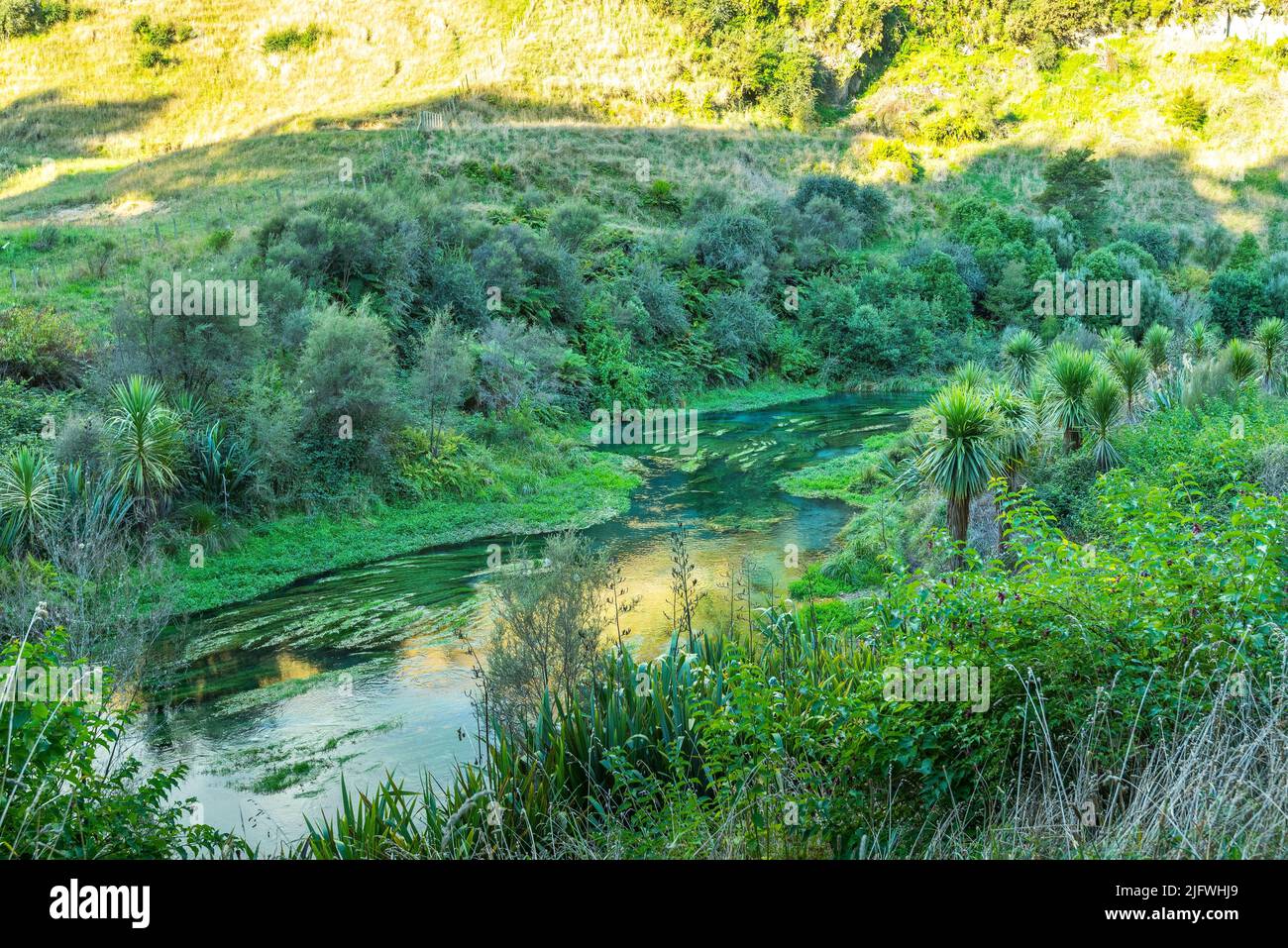A beautiful landscape of the blue spring Putaruru, North Island, New ...