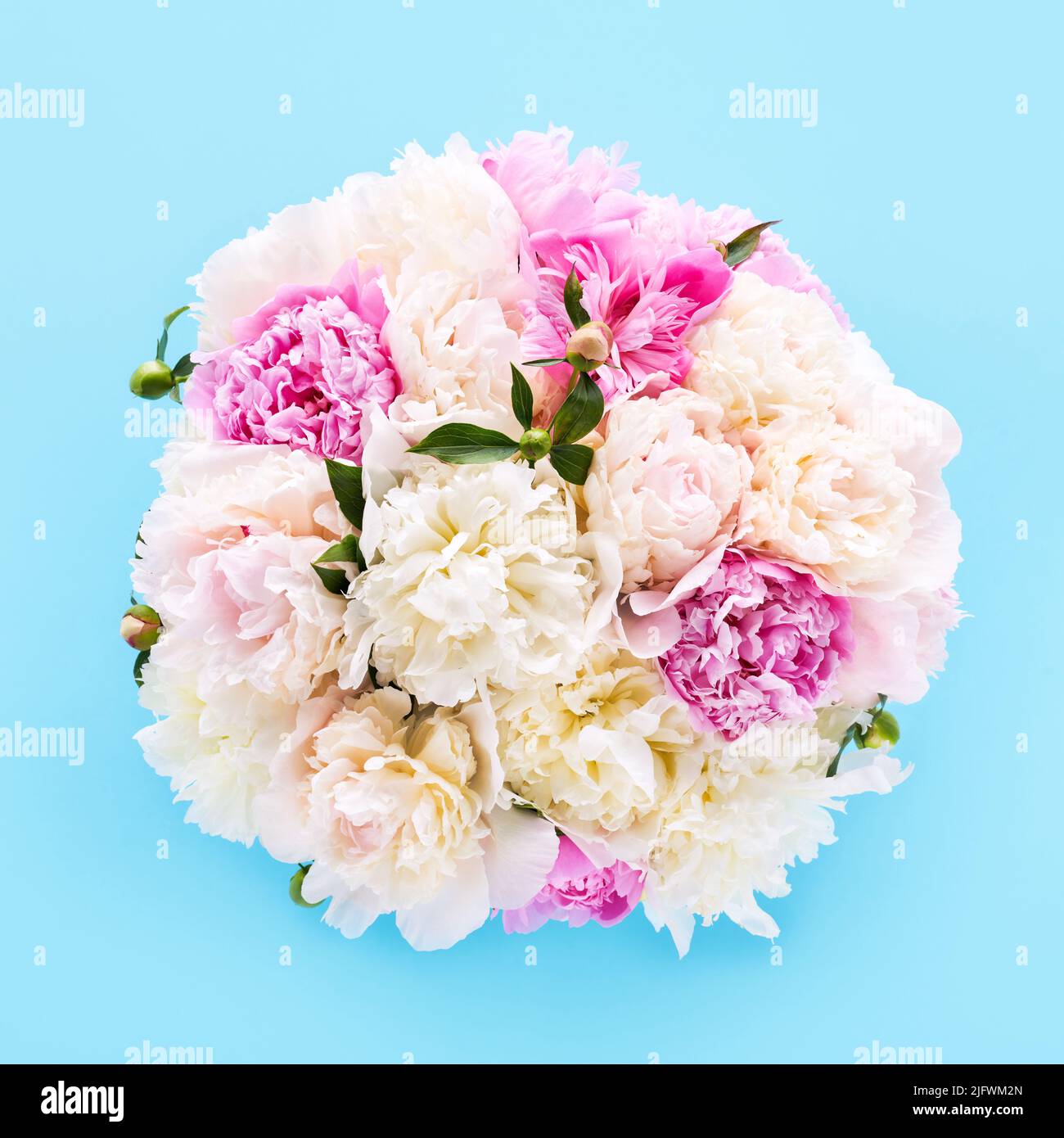 Bouquet of pink and white peonies on a light blue background. Birthday, Valentine's Day, Mother's Day, Women's day concept. Top view, soft focus Stock Photo