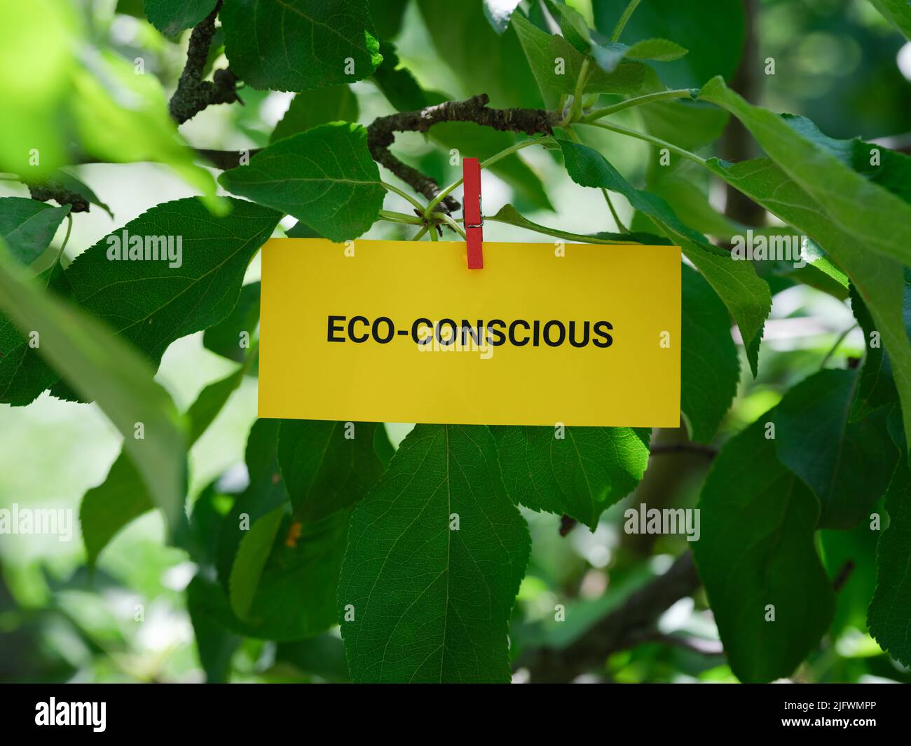 A paper note with the word Eco-Conscious on it attached to a tree with a clothes pin. Close up. Stock Photo