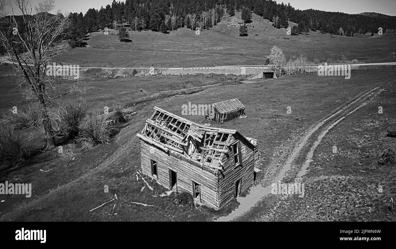 An aerial grayscale of a collapsed driftwood house in Colorado with a forest in the background Stock Photo