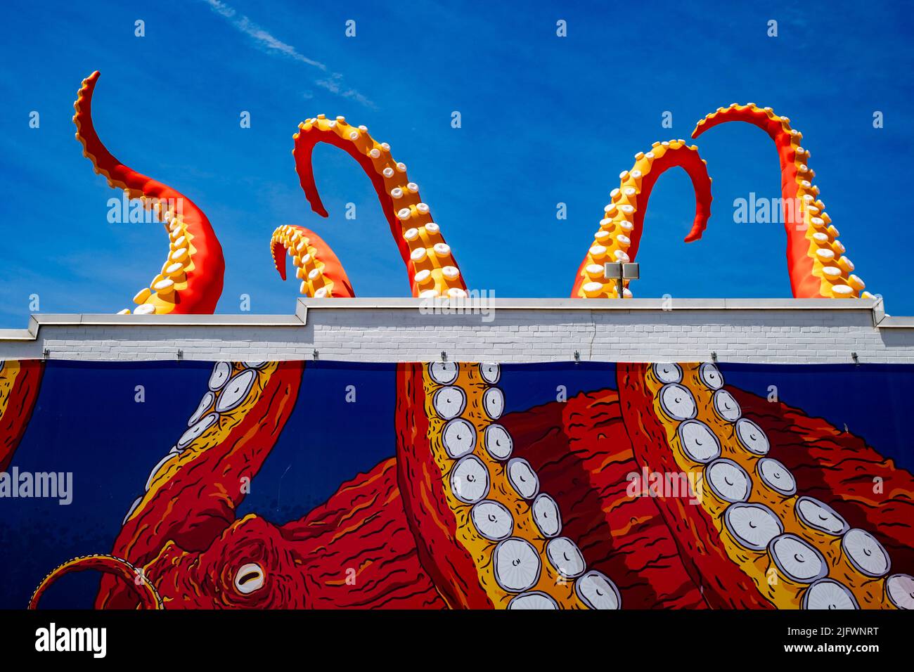 Nyaquarium hires stock photography and images Alamy