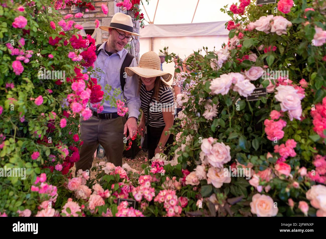 The RHS Hampton Court Palace Garden Flower show 2022 opens today and runs till Saturday 9th July.   Pictured: Visitors watch flower displays at the Fe Stock Photo