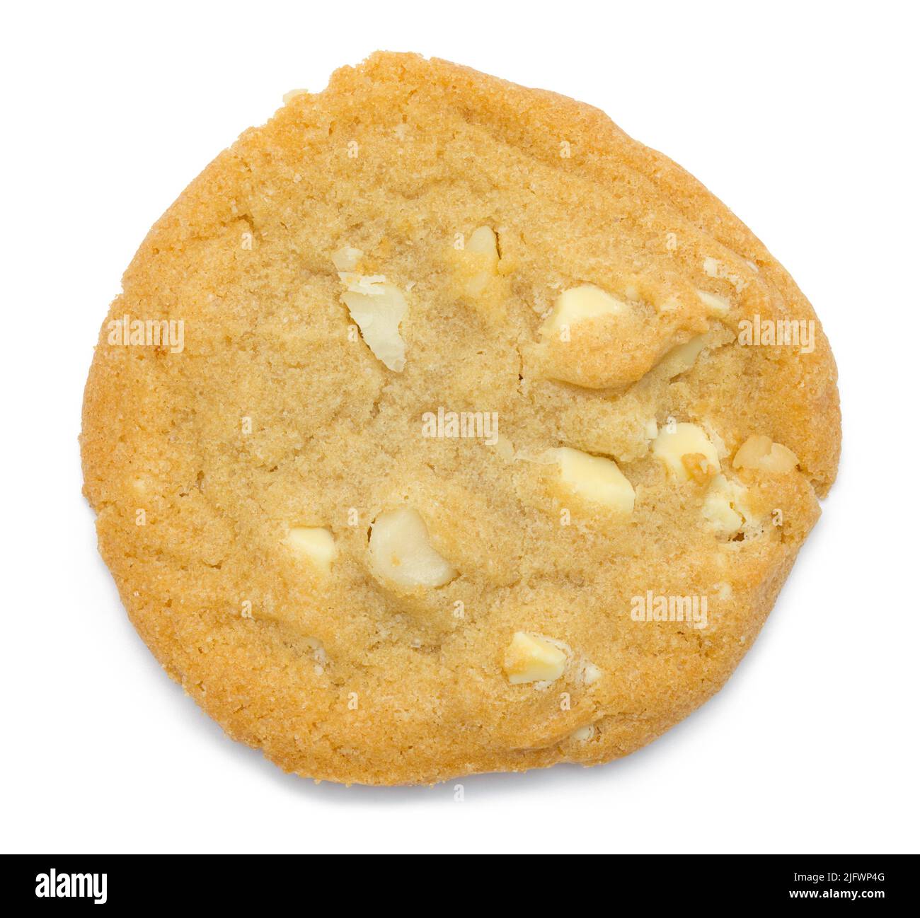 Single White Chocolate Chip Cookie Top View Cut Out. Stock Photo