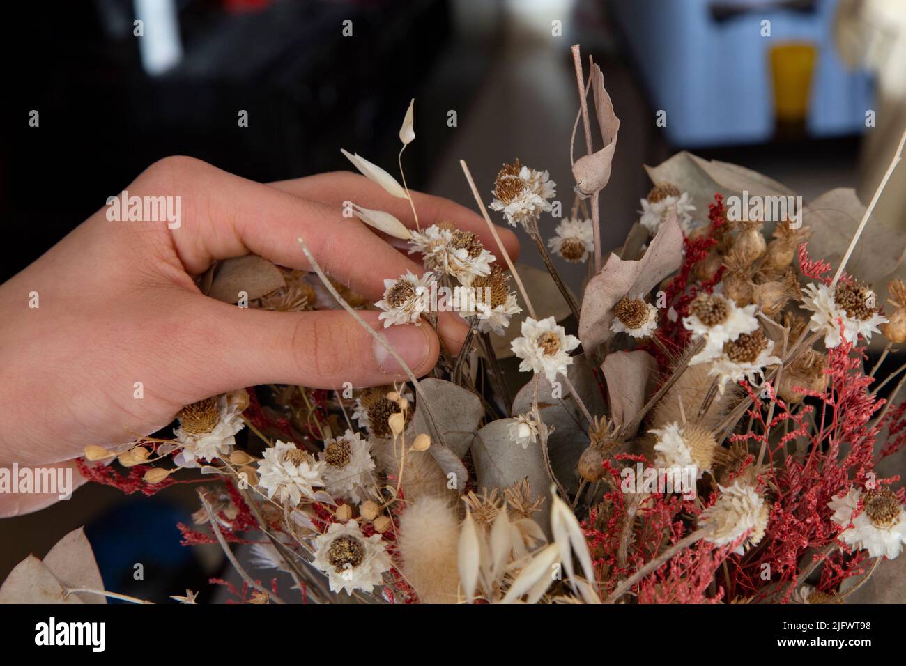 Hands of a young white man arranging the dried flowers of a decoration Stock Photo