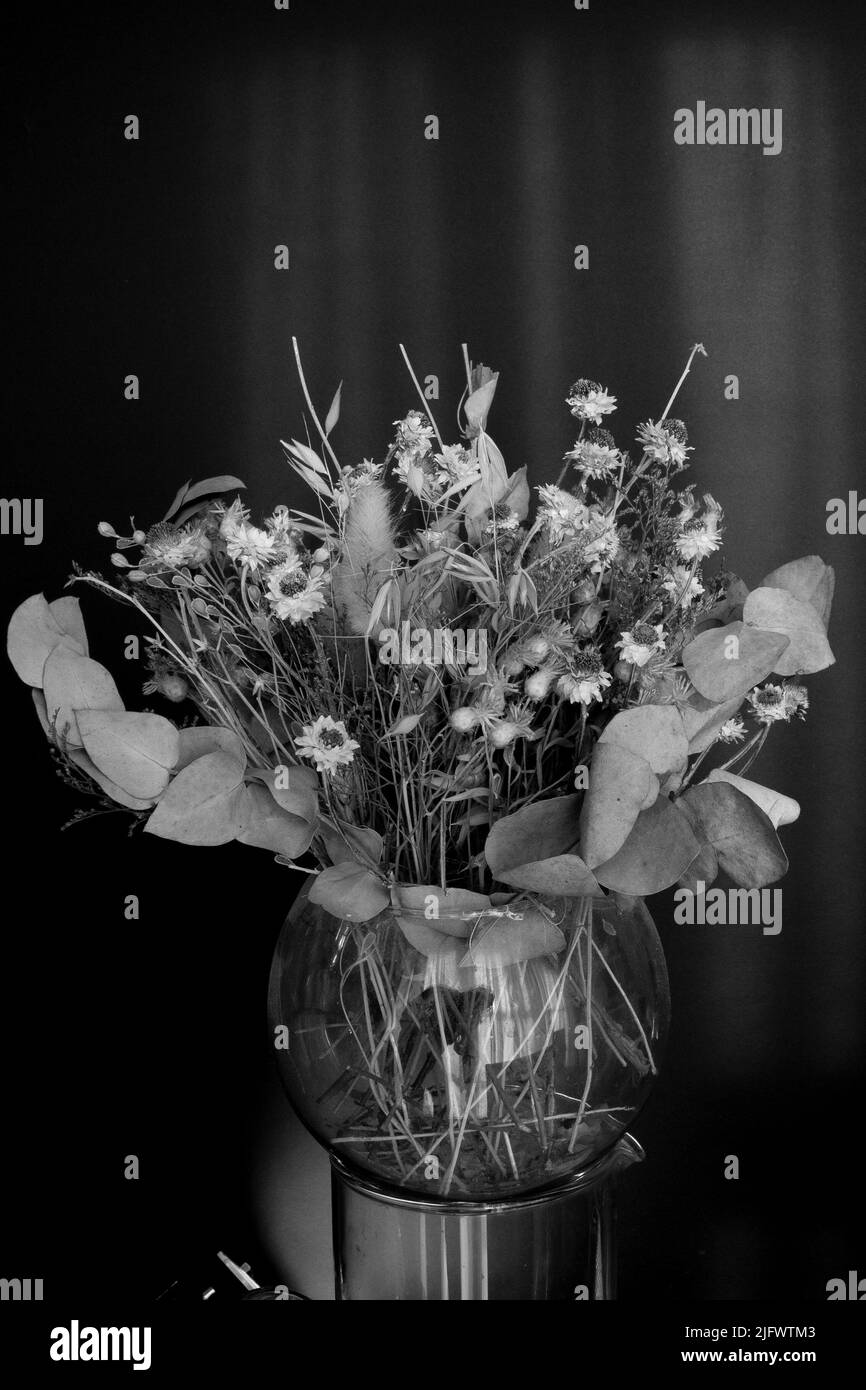 Dried flowers in a glass vase for decoration Stock Photo Alamy