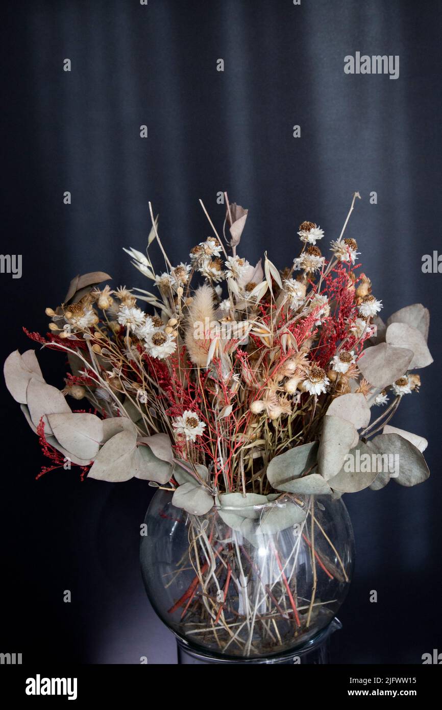 Dried flowers in a glass vase for decoration Stock Photo Alamy