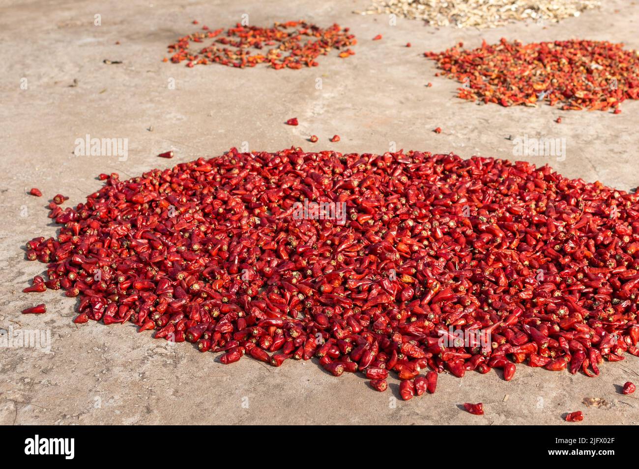 Indian dried red chillies hi-res stock photography and images - Alamy