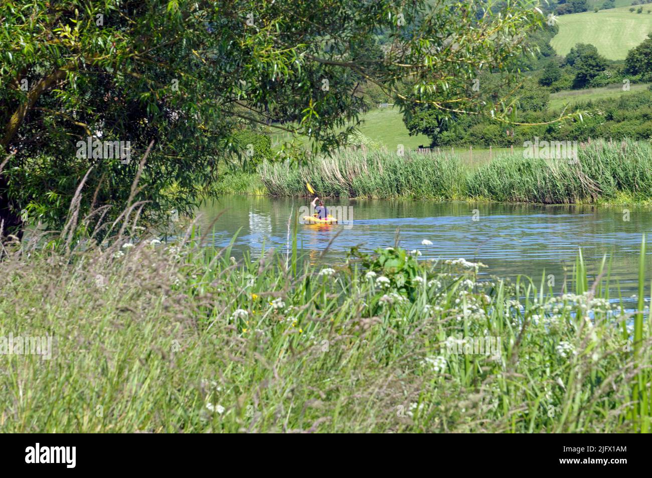 Yellow kayak/canoe on the river Avon, Saltford near Bristol. June 2022